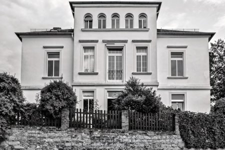 _DM27044_Radiant.jpg _DM27044_Radiant.jpg