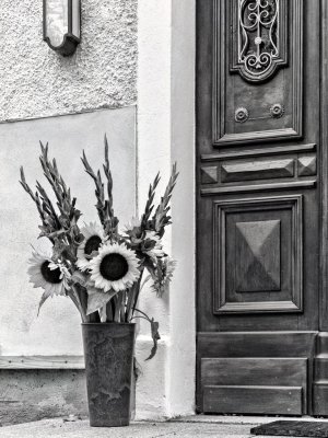 _DM27048_Radiant.jpg _DM27048_Radiant.jpg