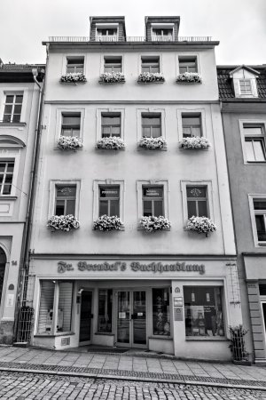 _DM27059_Radiant.jpg _DM27059_Radiant.jpg