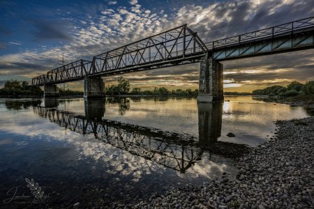 DSC_4727.jpg DSC_4727.jpg