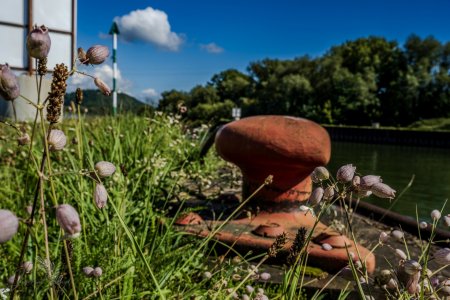 DSC_4857.jpg DSC_4857.jpg