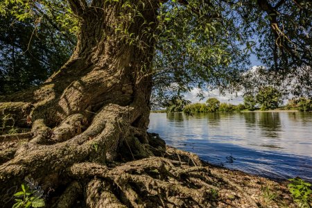 DSC_4874.jpg DSC_4874.jpg