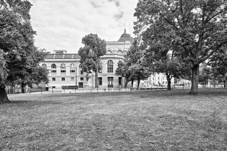 _DSC5953.jpg _DSC5953.jpg