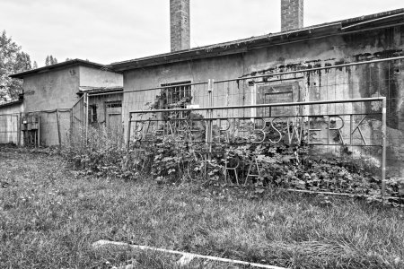 _DSC5702.jpg _DSC5702.jpg