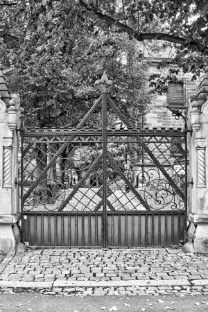 _DSC5729.jpg _DSC5729.jpg