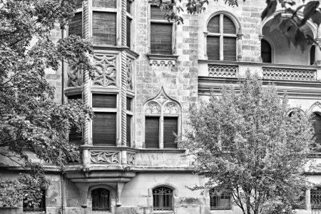 _DSC5736.jpg _DSC5736.jpg