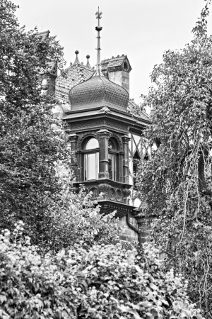 _DSC5717.jpg _DSC5717.jpg