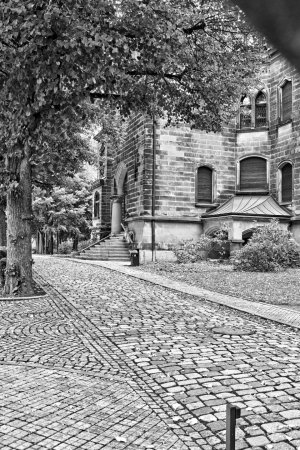 _DSC5726.jpg _DSC5726.jpg