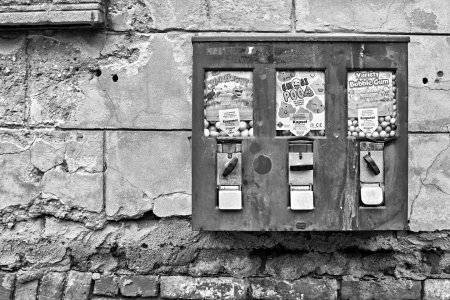 _DSC5768.jpg _DSC5768.jpg