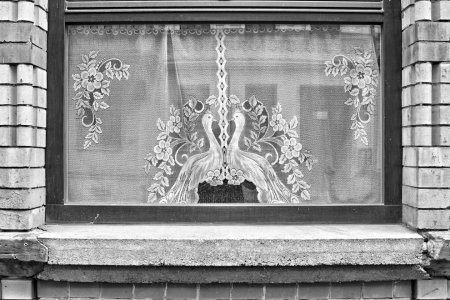 _DSC5778.jpg _DSC5778.jpg