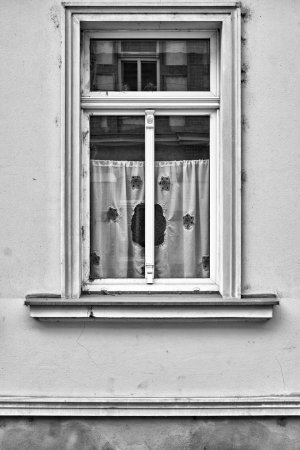 _DSC5779.jpg _DSC5779.jpg