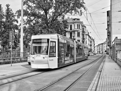 _DSC5791 1.jpg _DSC5791 1.jpg