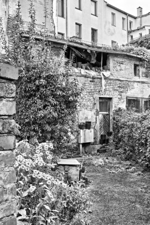 _DSC5795.jpg _DSC5795.jpg