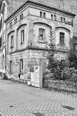 _DSC5796.jpg _DSC5796.jpg