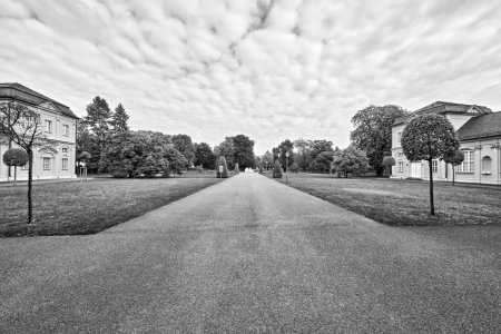 _DSC5904.jpg _DSC5904.jpg