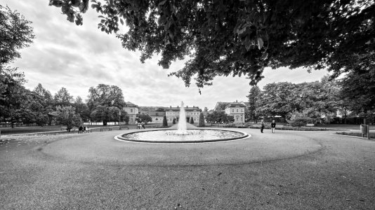 _DSC5911.jpg _DSC5911.jpg