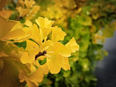 comp_20251015_124811 Herbst.jpg