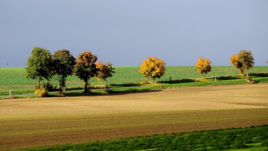 herbst2.jpg