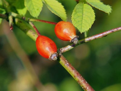 20251012_143727 Herbst.jpg