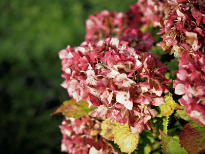 20251012_143440 Herbst.jpg