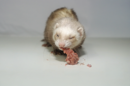 IMG_1042.png IMG_1042.png