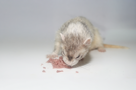 IMG_1068.png IMG_1068.png