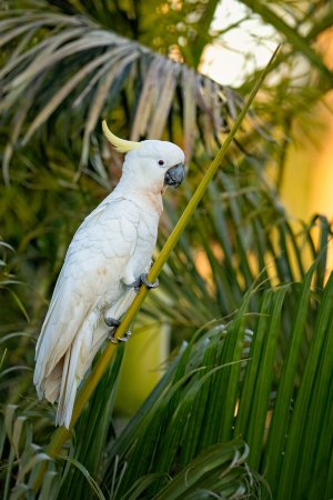 _1500A1_01373-Edit-2.jpg _1500A1_01373-Edit-2.jpg