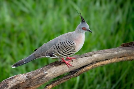 _1500A1_02603-Edit2.jpg _1500A1_02603-Edit2.jpg