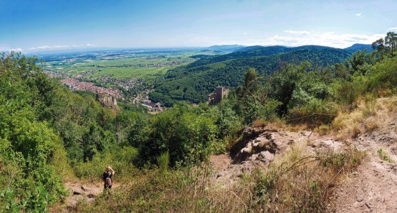 P7045679_c.jpg P7045679_c.jpg