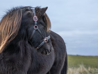 IMG_6611 Kopie_1.jpg