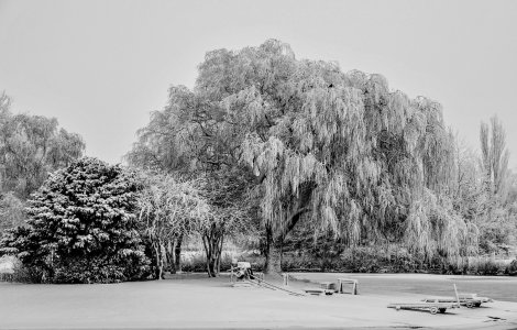 Wappler_Siel.jpg Wappler_Siel.jpg