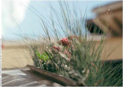 20250830 Freimersheim (01) - 1K JPEG.jpg