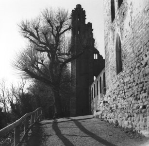 PICT0001.JPG PICT0001.JPG