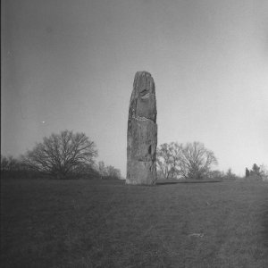 PICT0014.JPG PICT0014.JPG