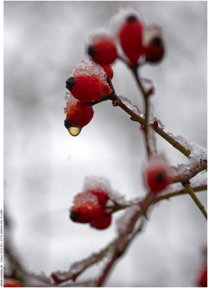 IMG_2689 (Kopie).jpg