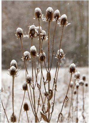 IMG_2717 (Kopie).jpg