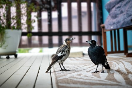 1500_A6706620-Edit-Edit-Edit.jpg 1500_A6706620-Edit-Edit-Edit.jpg