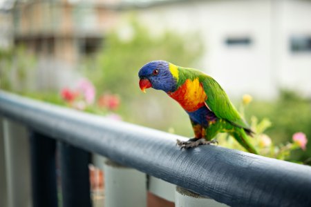 1500_A6706618-Edit.jpg 1500_A6706618-Edit.jpg