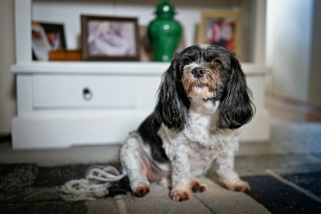 1500_A6706565-Edit.jpg 1500_A6706565-Edit.jpg