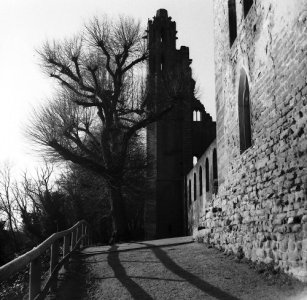 PICT0001b.jpg PICT0001b.jpg