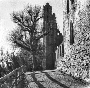 PICT0001.jpg PICT0001.jpg