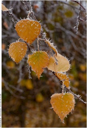 IMG_2132 (Kopie).jpg