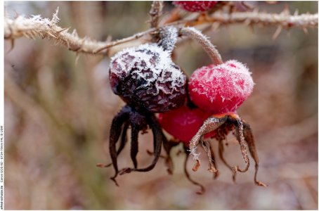 IMG_2200 (Kopie).jpg