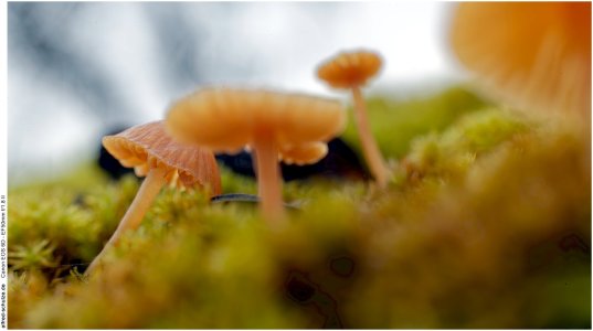 IMG_1709 (Kopie).jpg