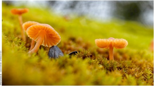 IMG_1717 (Kopie).jpg