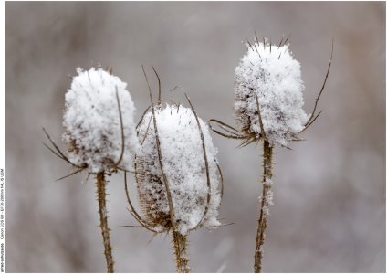 IMG_2402 (Kopie).jpg