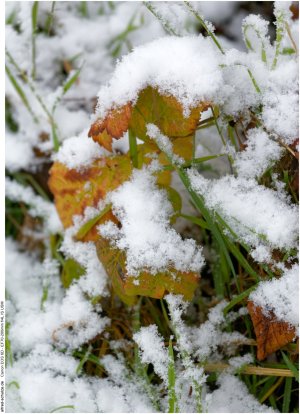 IMG_2475 (Kopie).jpg