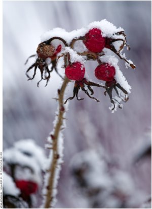 IMG_2502 (Kopie).jpg