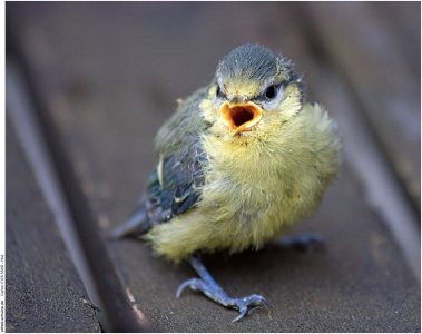 2013-06-02_11-29-03_79407 (Kopie).jpg