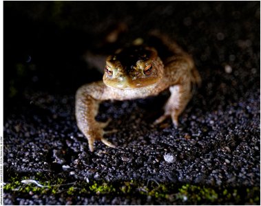 IMG_2908 (Kopie).jpg